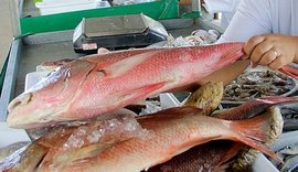 Santana do Mundaú reforça prevenção do Covid-19 na tradicional Feira do Peixe