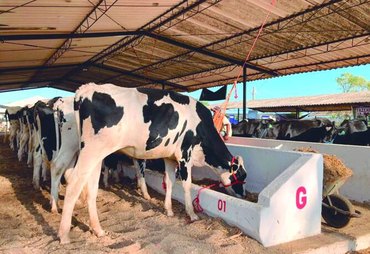 Expo Bacia Leiteira levará conhecimento e oportunidades ao Parque Mair Amaral