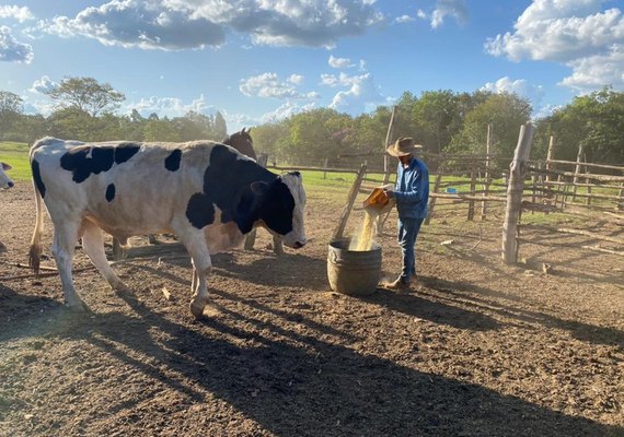 Governo entregará títulos de propriedade rural em diversos estados do país; saiba mais