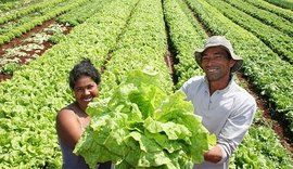 Agricultura familiar terá novo cadastro a partir desta terça-feira