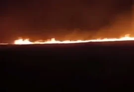 Vídeo: Incêndio de grandes proporções atinge área de vegetação em Marechal Deodoro