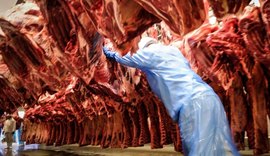 Fim da cota chinesa interrompe exportações de carne bovina brasileira