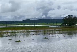 Estima-se perda de 40 mil toneladas de cana em Alagoas devido às chuvas