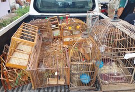 Operação em interior de AL apreende mais 350 aves e aplica R$ 134,5 mil em multas