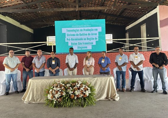 Seagri fortalece rizicultura no Baixo São Francisco com Programa Alagoas Mais Arroz