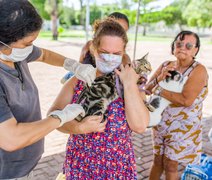 Unidade de Zoonoses promove vacinação antirrábica e feira de adoção no sábado (21)