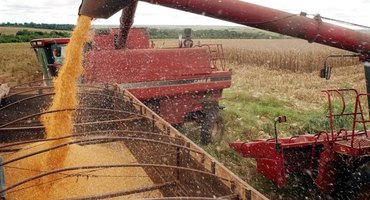 Safra de grãos 2025/2026 deve atingir volume recorde de 356,3 mi de toneladas