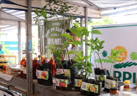 Carpil impulsiona diversificação produtiva com entrega de mudas em Alagoas