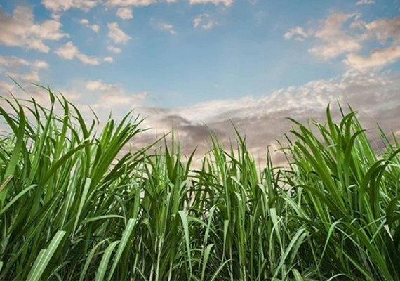 ATR tem crescimento de quase 8% em maio