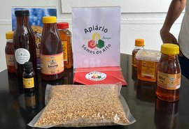 Pesquisa mostra que  23,6 mil quilos de mel foram produzidos no Sul de Alagoas