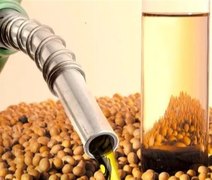 Biotecnologia potencializa produção de milho e etanol
