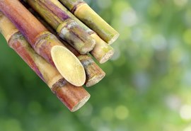 Último ATR de 2019 tem alta de 4,1%