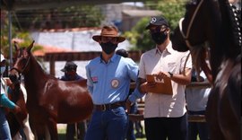 Expoagro/AL faz pista ´pesada´ nos julgamentos