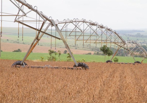 Safra recorde de grãos deve chegar a 240,7 milhões de toneladas