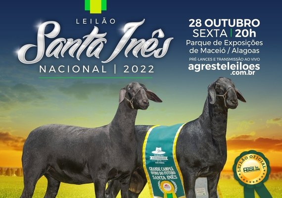 'Melhores dos melhores' da ASBI serão ofertados no Leilão Santa Inês Nacional 2022