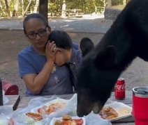 SUSTO! Urso devora comida de piquenique e deixa mulher e criança paralisados