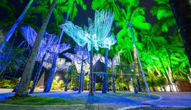 Natal em Maceió: Confira programação de luzes e música das comemorações na capital