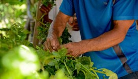 IA do MST começa a transformar a agricultura familiar no Brasil