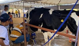 Torneio Leiteiro promovido pela Coopaz destaca produção da agricultura familiar