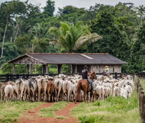 Médios e grandes produtores têm até 31 de dezembro para fazer inscrição no CAR