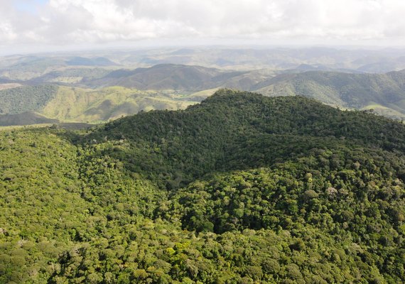 Alagoas tem o menor índice de desmatamento do Nordeste
