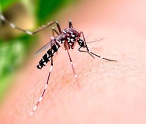 Saúde alerta população sobre medidas preventivas para combater o Aedes aegypti