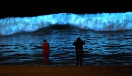 Pesquisadores conseguem prolongar brilho de alga bioluminescente