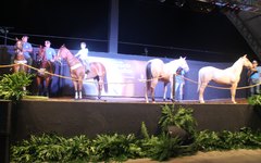 Assessoria/Divulgação 