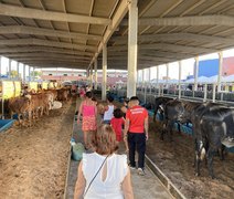Expoagro-AL entra na reta final com expectativa de fortalecer negócios em todo o país