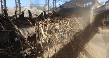 Sistema de limpeza a seco aumenta eficiência no processamento da cana
