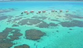 Desaparecimentos em áreas turísticas acendem alerta no litoral norte de Alagoas