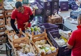 Governo anuncia crédito de R$ 97,3 bilhões para agricultores familiares