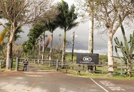 IBC estreia novas instalações do recinto de leilões