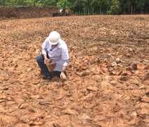 Vídeo do Alagoas Rural sobre uso da fibra de coco ganha destaque no Instagram