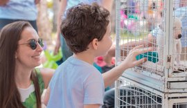 Causa Animal e Vigilância de Zoonoses promovem Feira de Adoção na Rua Aberta no domingo (27)