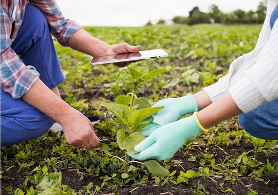 Pesquisa revela que profissionais do agro tiveram aumento salarial em 2022