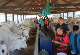 Expoagro/AL promete aquecer pecuária alagoana em sua 69ª edição