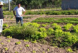 Assistência técnica garante diversificação de culturas aos produtores do Canal do Sertão