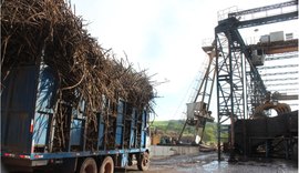 Setor canavieiro aposta nas chuvas para manter crescimento na safra 20/21