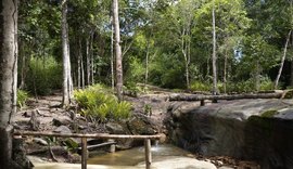 Flexeiras: Um destino encantador para o turismo rural em Alagoas