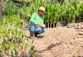 Coopaiba promove Dia do Campo com foco em inovação e agricultura familiar