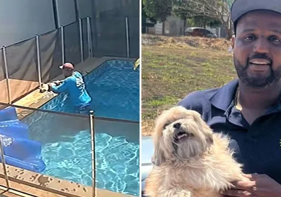 Vídeo: cão cego é resgatado por trabalhador após se afogar em piscina em Goiás