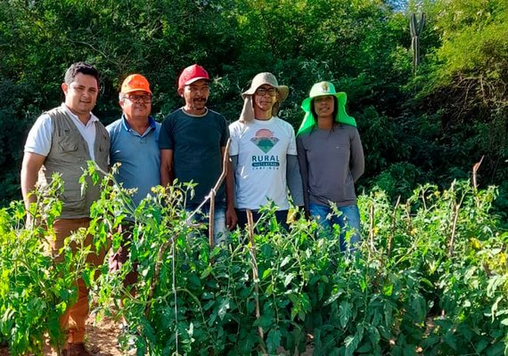 Instituto Irmã Dorothy abre seleção para técnicos em projeto; confira