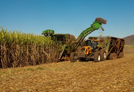 Safra conta com 5,1 mi de toneladas de cana beneficiadas
