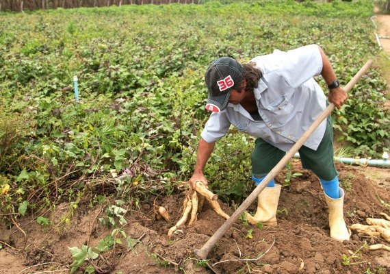 Alimentos da agricultura local serão apresentados em feira internacional