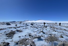 Pegada de mamífero predador de 55 milhões de anos é descoberta na Antártica