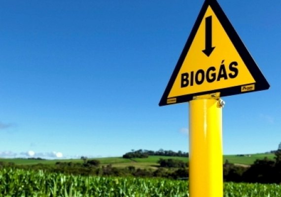 Embrapa faz acordo de 12 meses com associações para estudar impacto do biogás