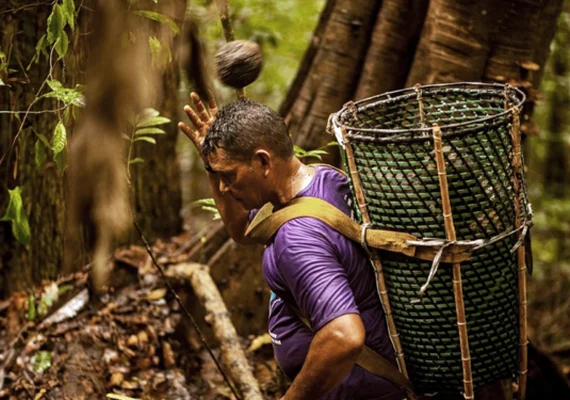 Modelo cooperativo mostra como crescer preservando a biodiversidade