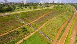 Obras para Estabilização da Encosta do Mutange são concluídas