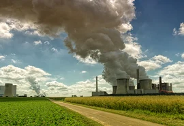 Cooperativa cafeeira reduz 10,4% das emissões diretas e tem inventário de carbono verificado